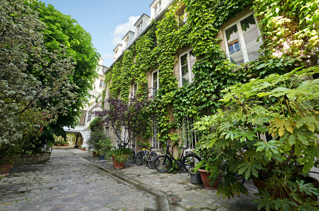 JARENTE - SAINTE CATHERINE